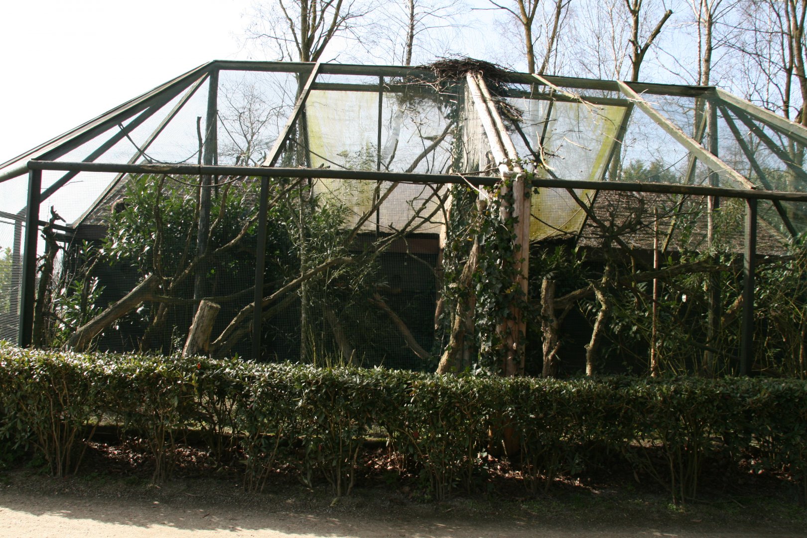 Alaotra bamboo lemur enclosure