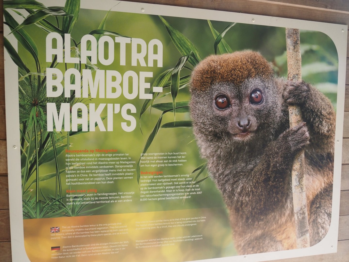 Alaotra bamboo lemur signage, 2024-08-18