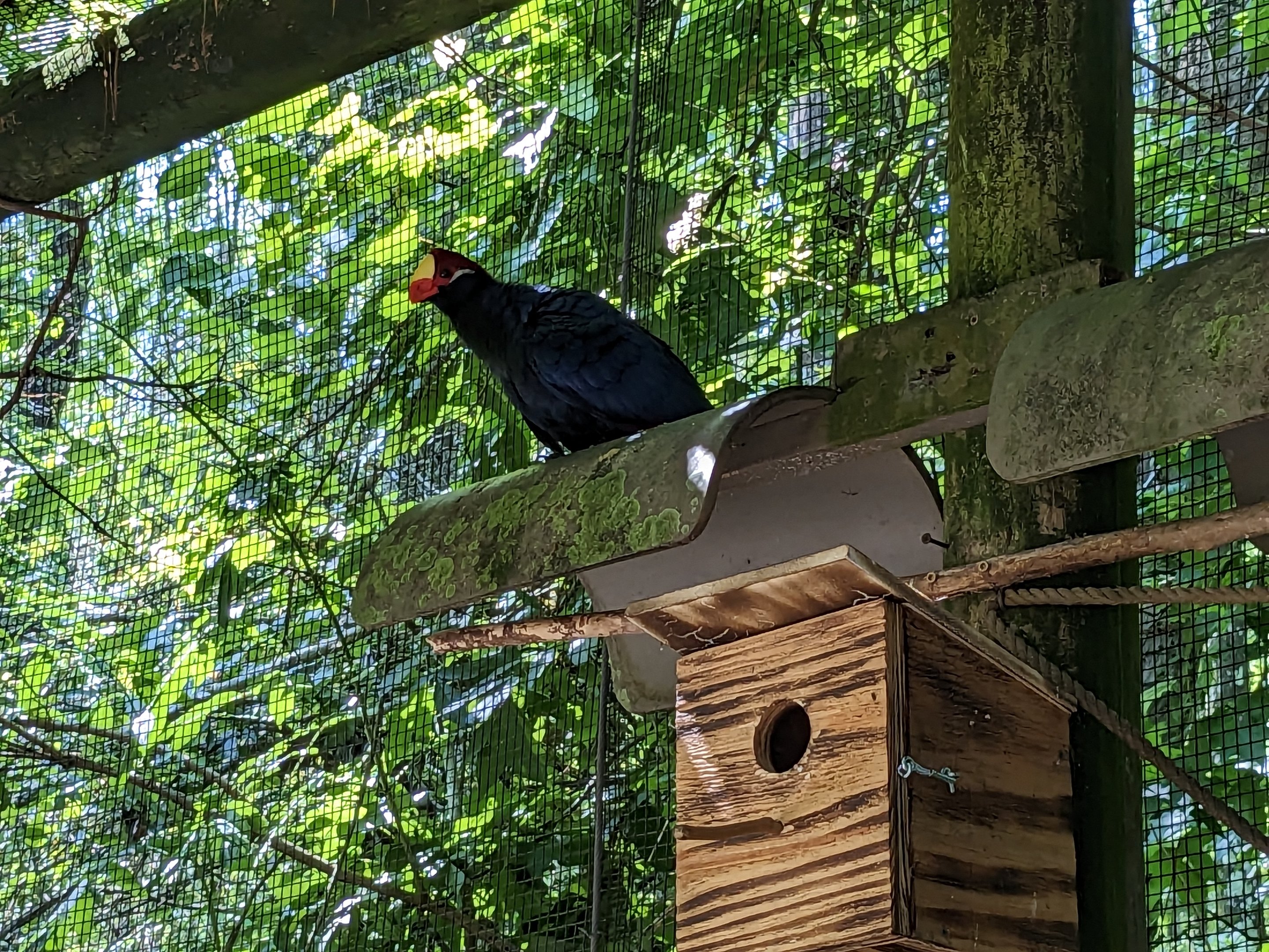 Alapaha Trail - Bird House