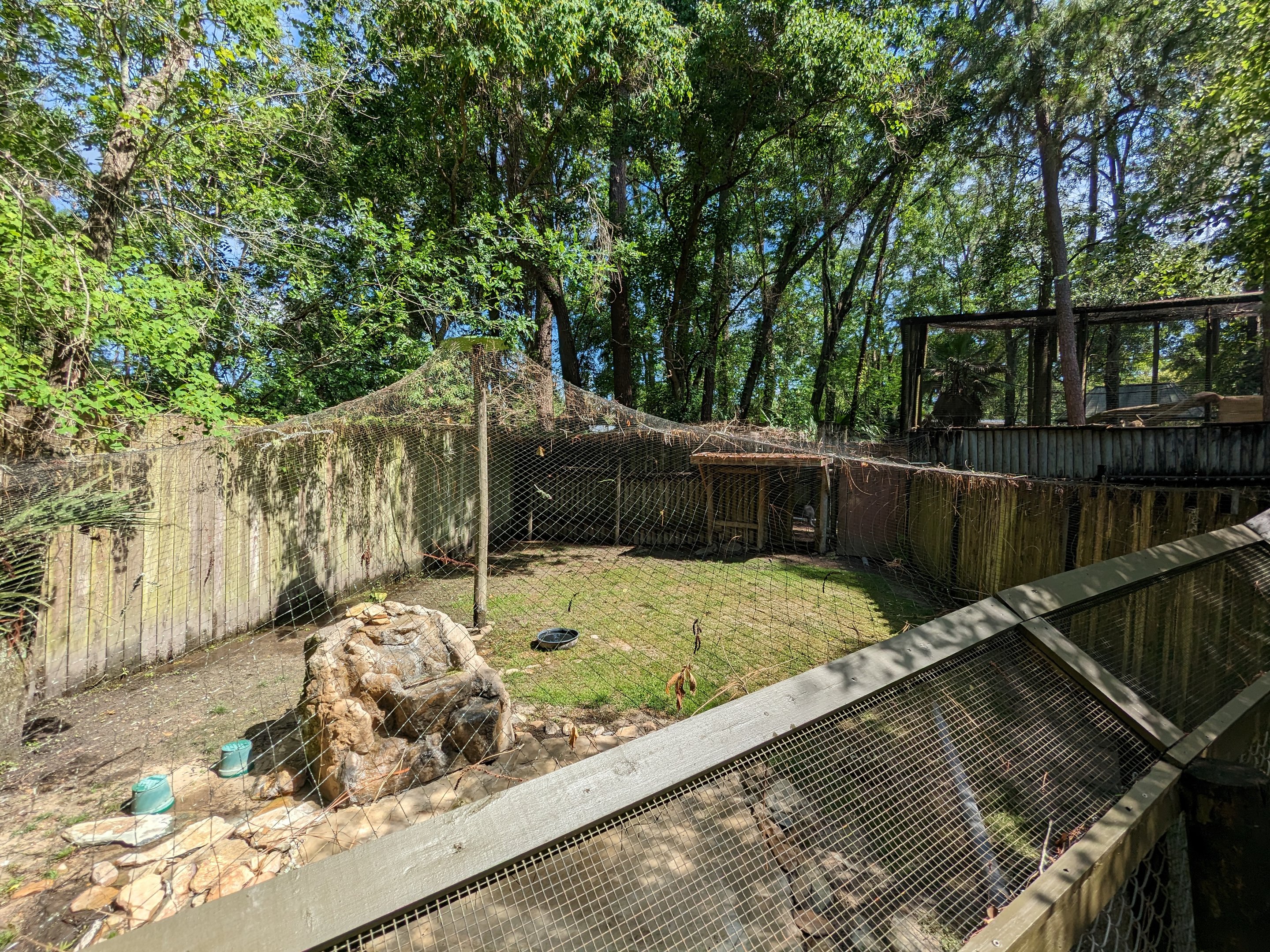 Alapaha Trail - sandhill crane aviary