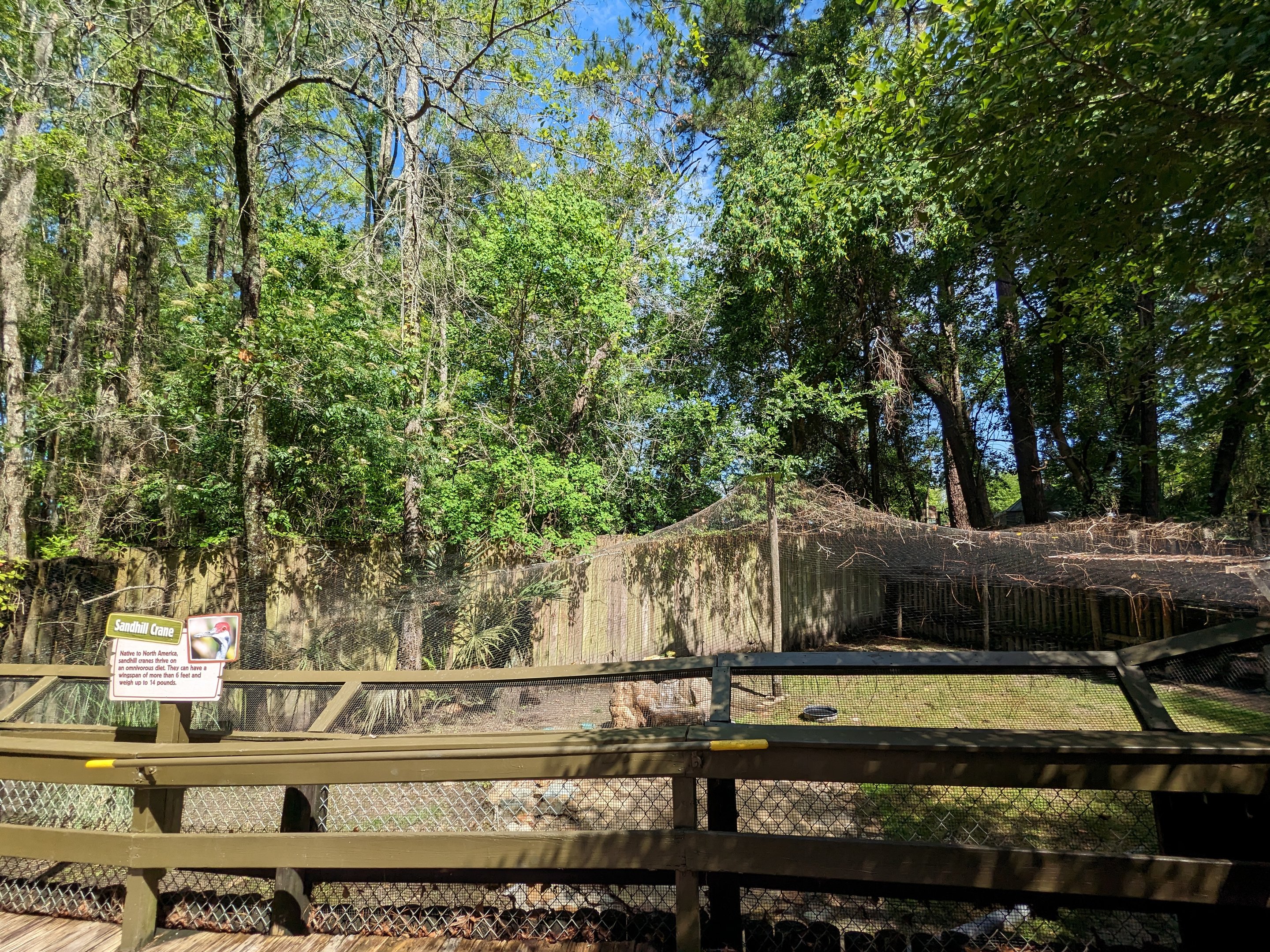 Alapaha Trail - sandhill crane aviary
