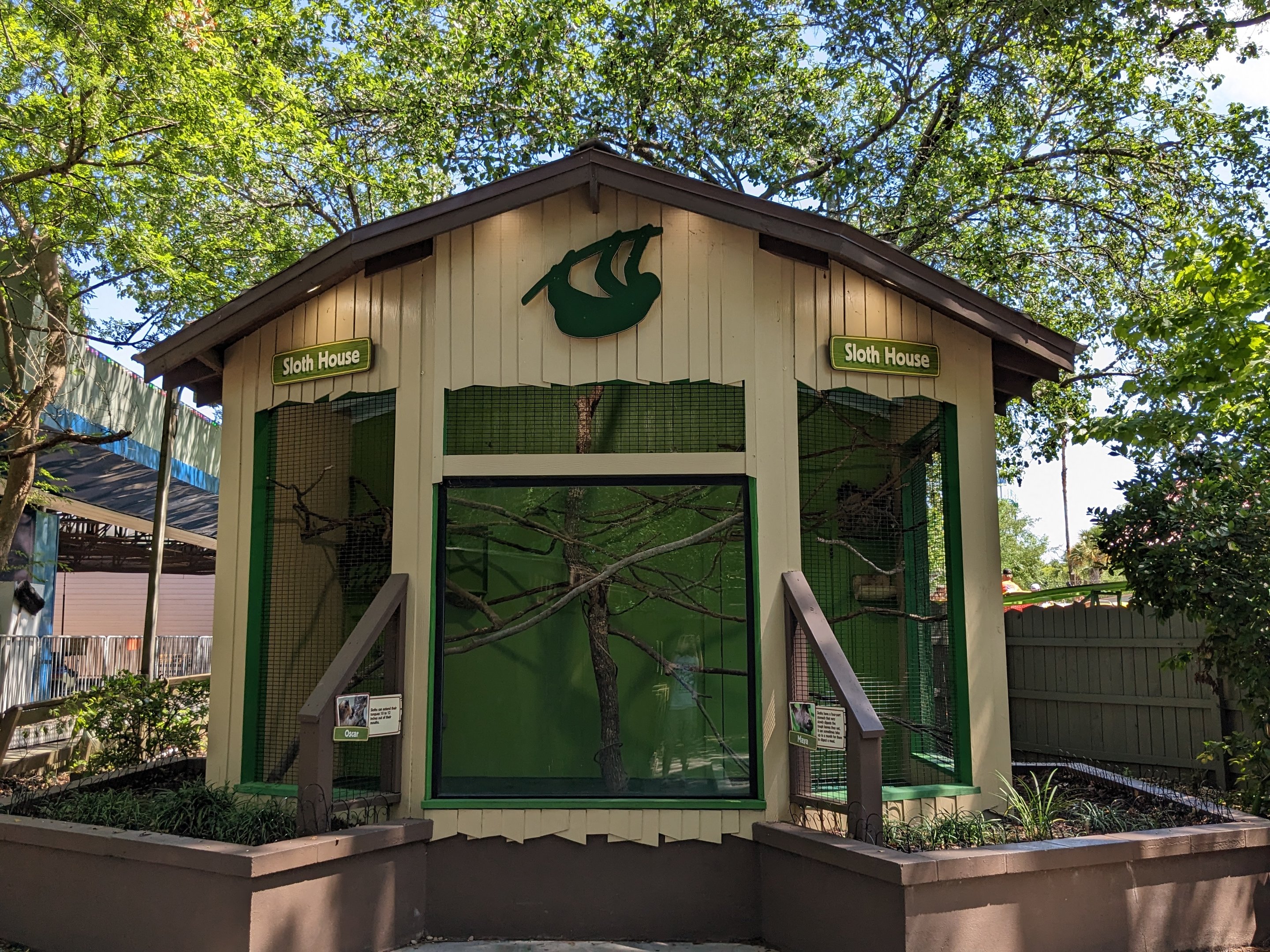 Alapaha Trail - sloth