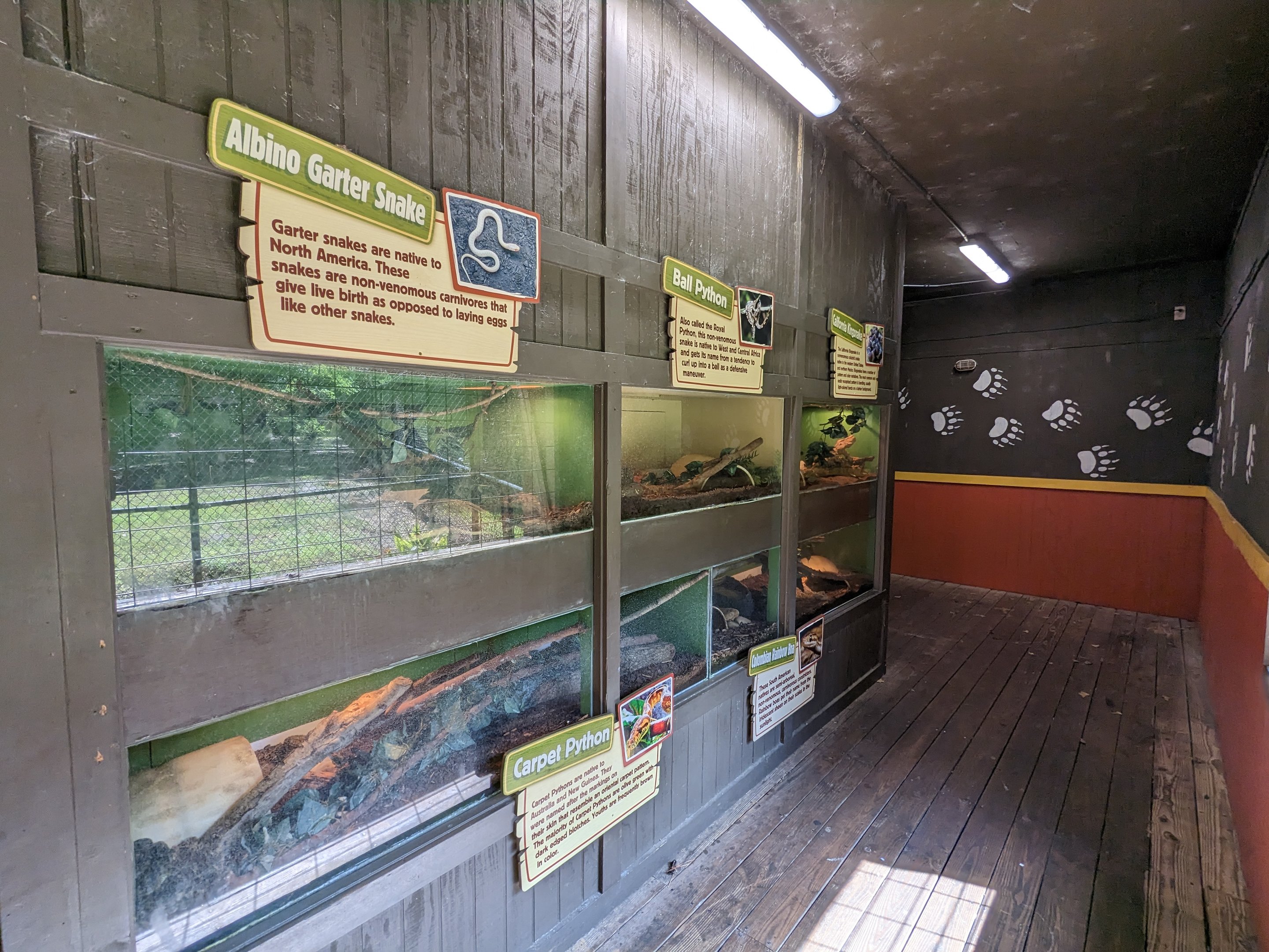 Alapaha Trail - snakes