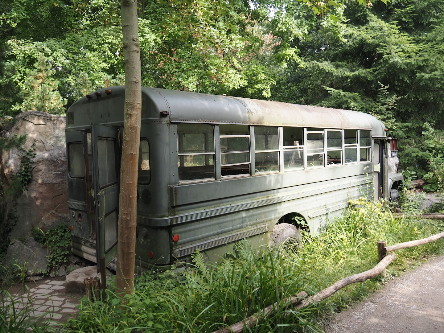 Alaska school bus - Wild turkey exhibit viewing area, 2024-08-05