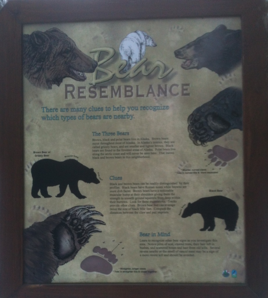 Alaskan Bears Educational Sign