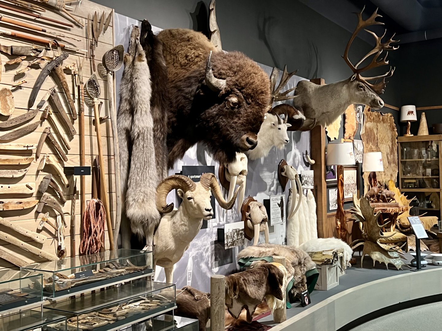 Alaskan Native tools and “Sportsman’s” display