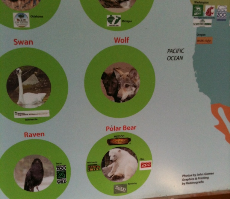 Alaskan Polar Bears gone south.