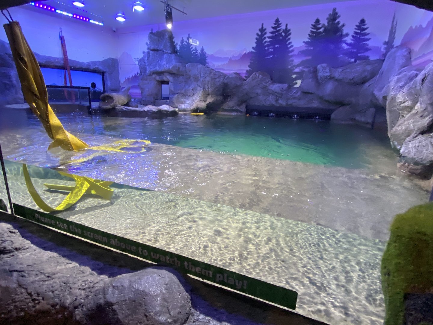 Alaskan sea otter exhibit 070123