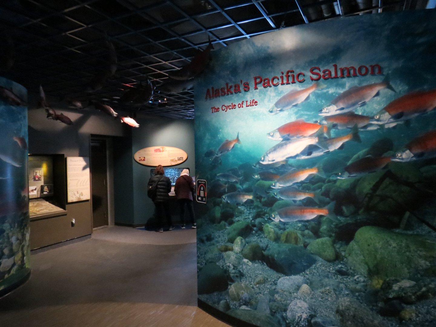Alaska's Pacific Salmon Exhibits