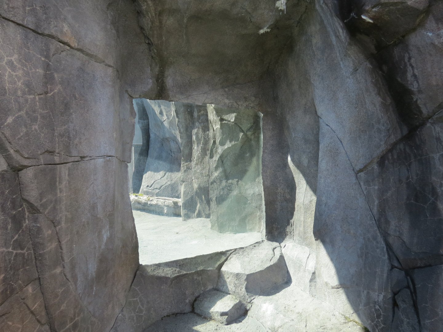 Alaska's Seals Habitat - Outdoor Viewing Area