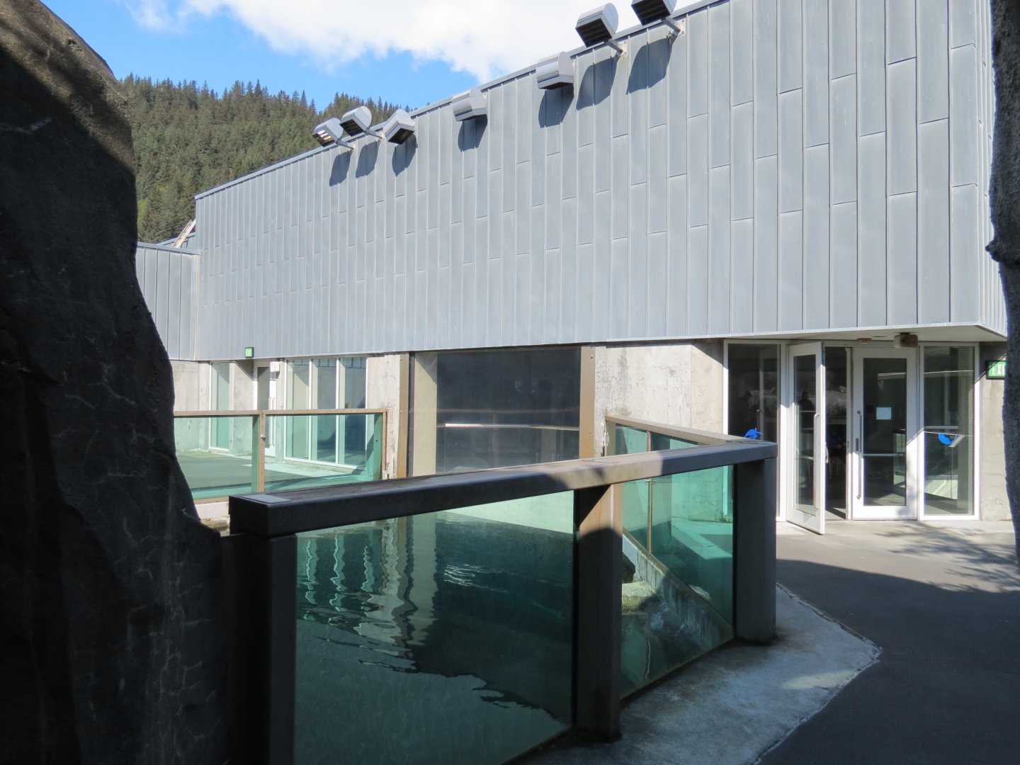 Alaska's Seals Habitat - Outdoor Viewing Area