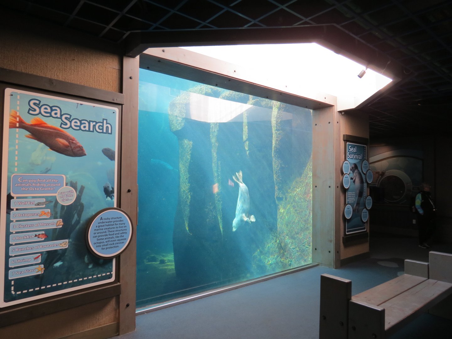 Alaska's Seals Habitat - Underwater Viewing Area
