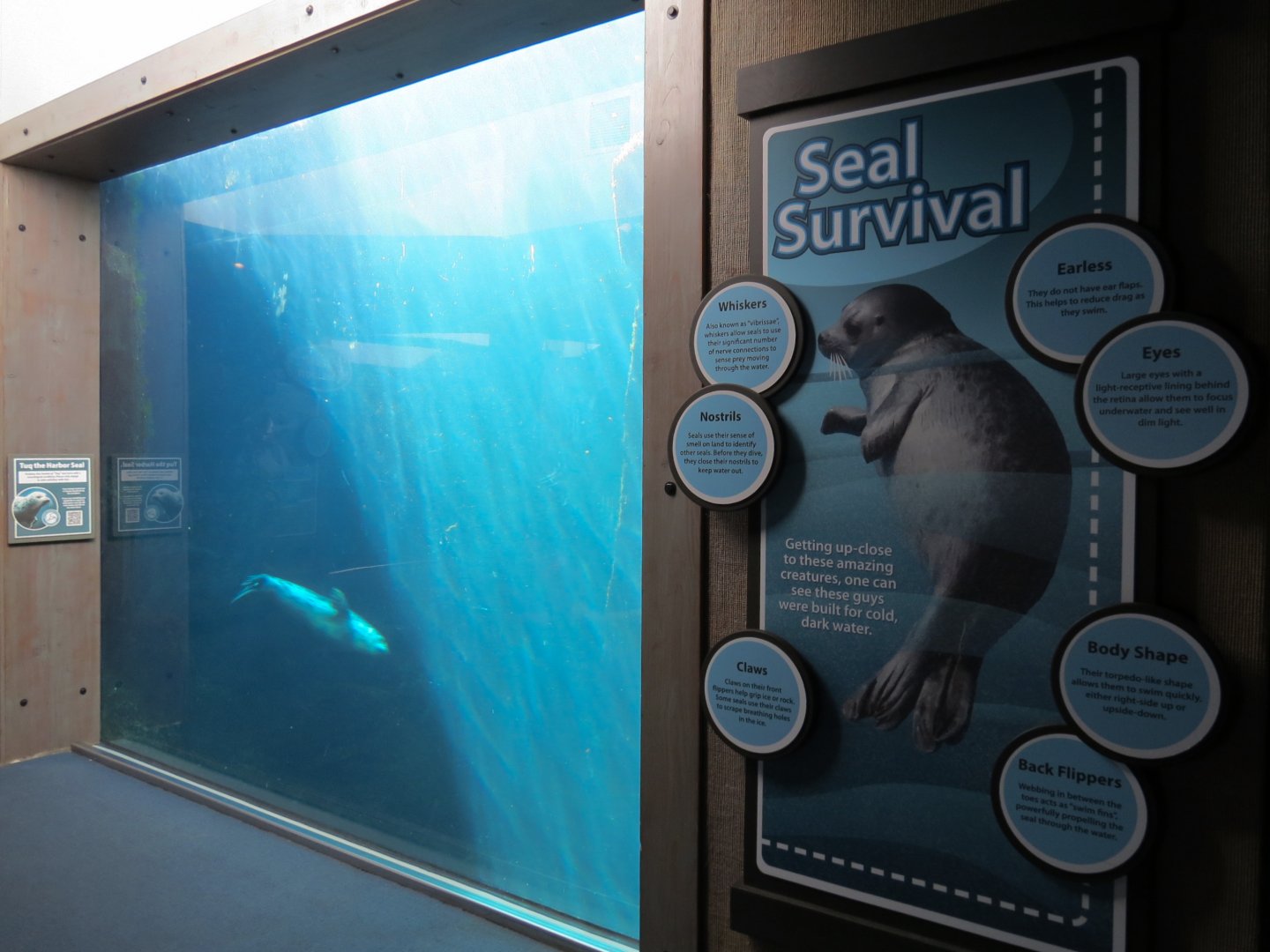 Alaska's Seals Habitat - Underwater Viewing Area