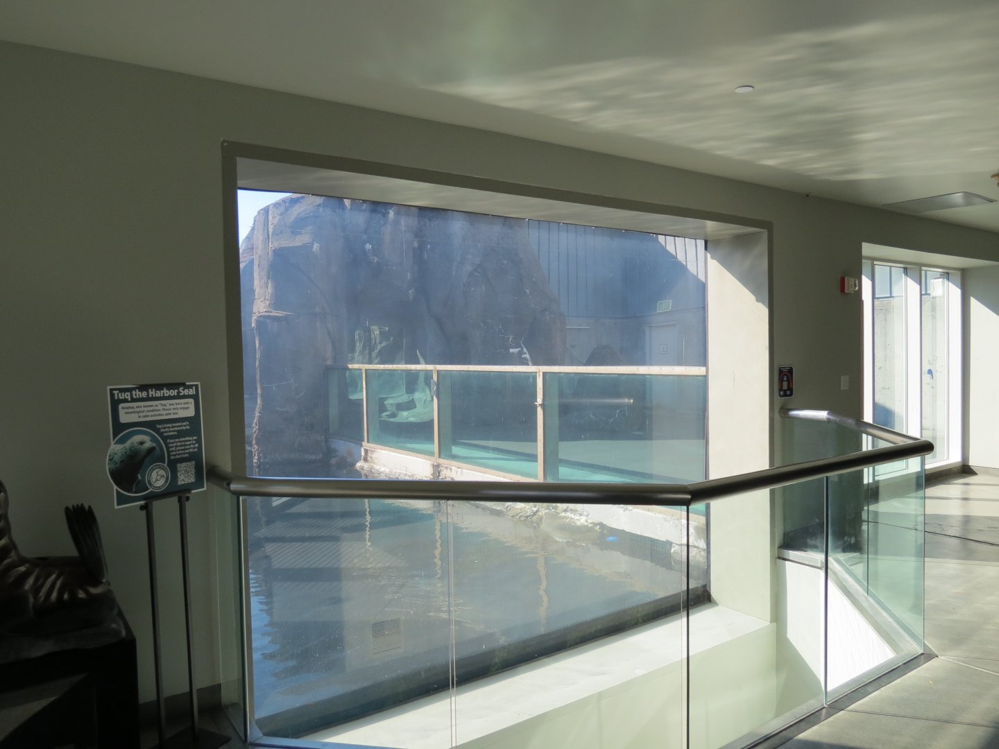 Alaska's Seals Habitat - Viewing Window in Rocky Coast Gallery