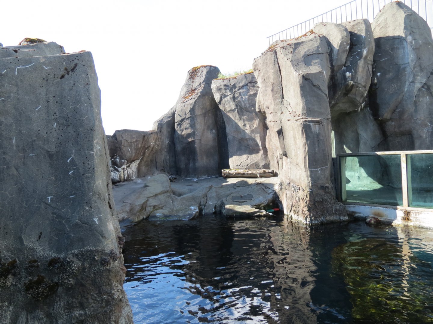 Alaska's Seals Habitat