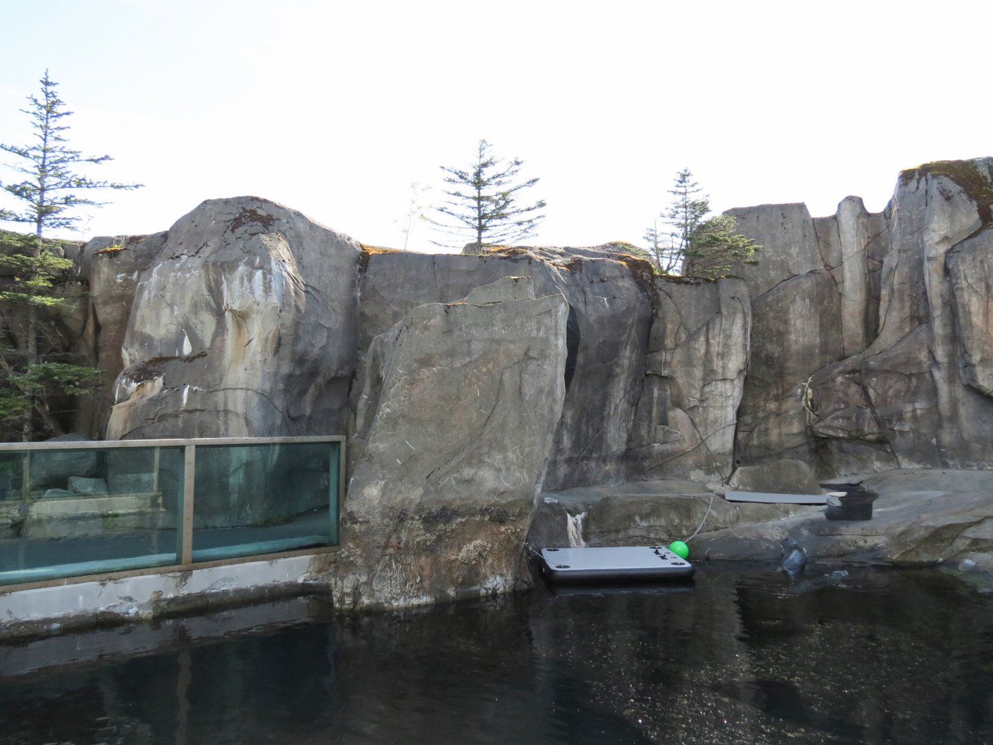 Alaska's Seals Habitat