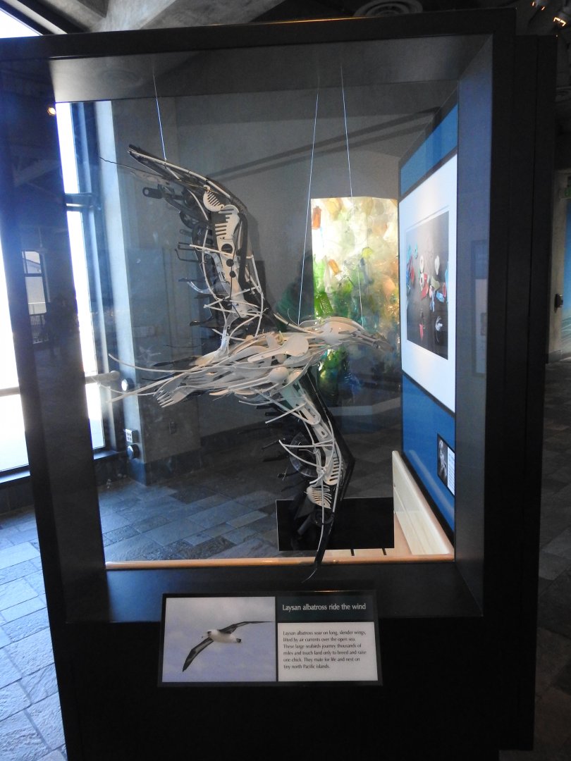 Albatross made of ocean waste