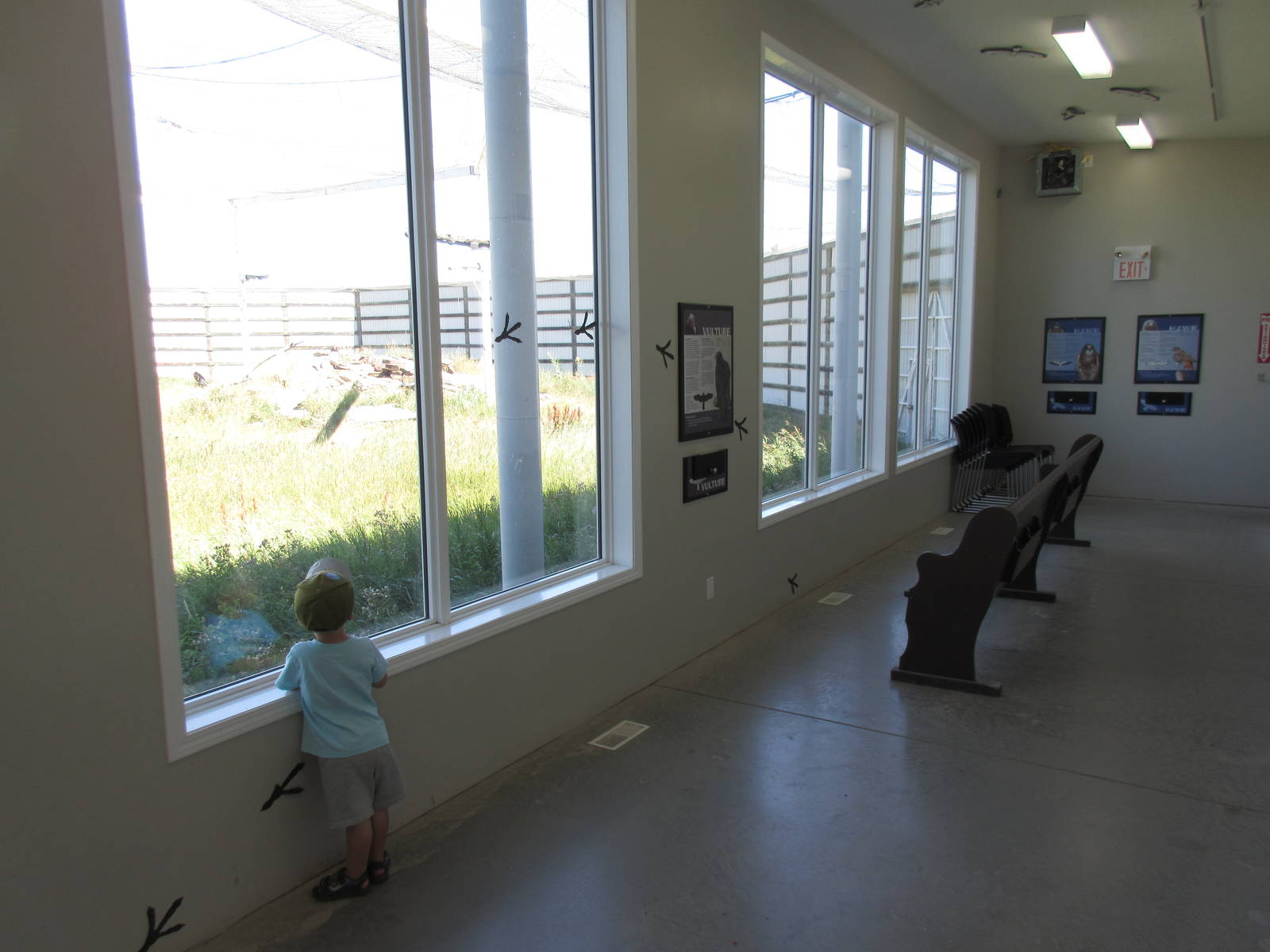 Alberta Birds of Prey Centre - 28,000 Square Foot (0.64 of an acre) Bald Ea