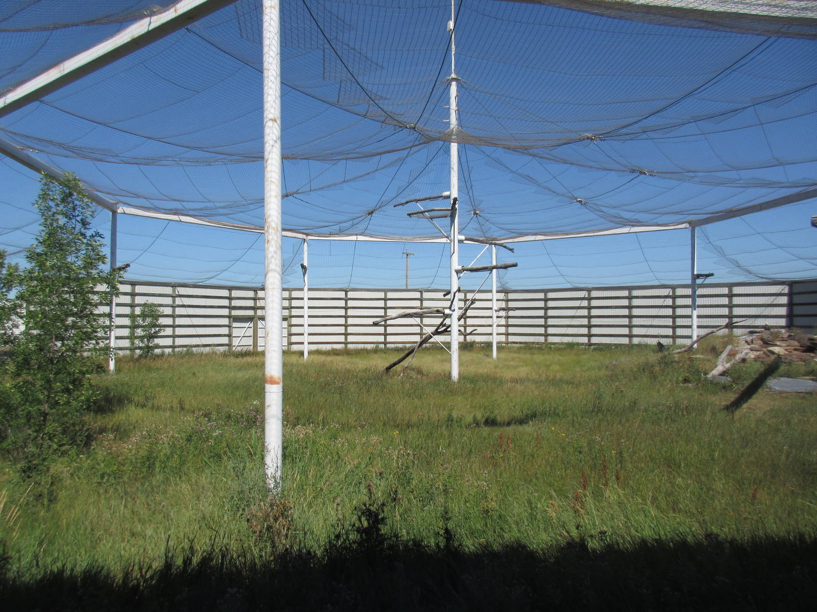 Alberta Birds of Prey Centre - 28,000 Square Foot (0.64 of an acre) Bald Ea