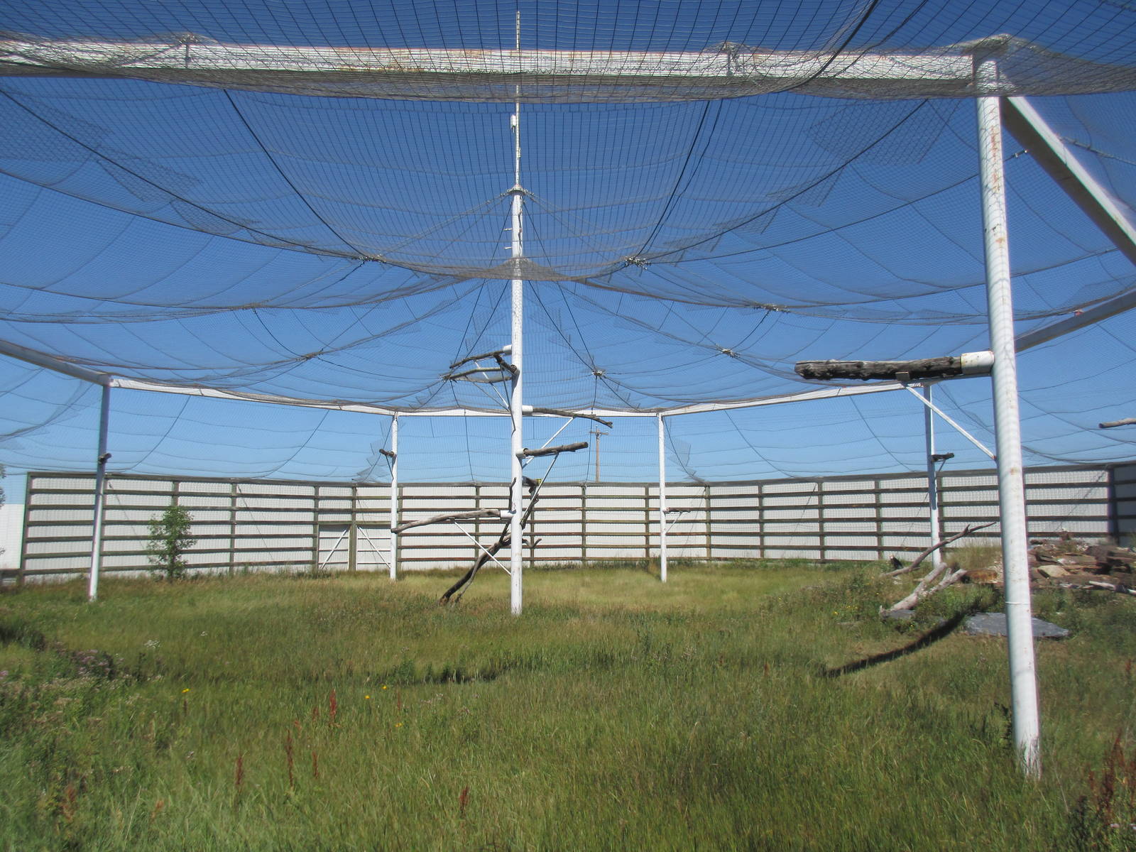 Alberta Birds of Prey Centre - 28,000 Square Foot (0.64 of an acre) Bald Ea