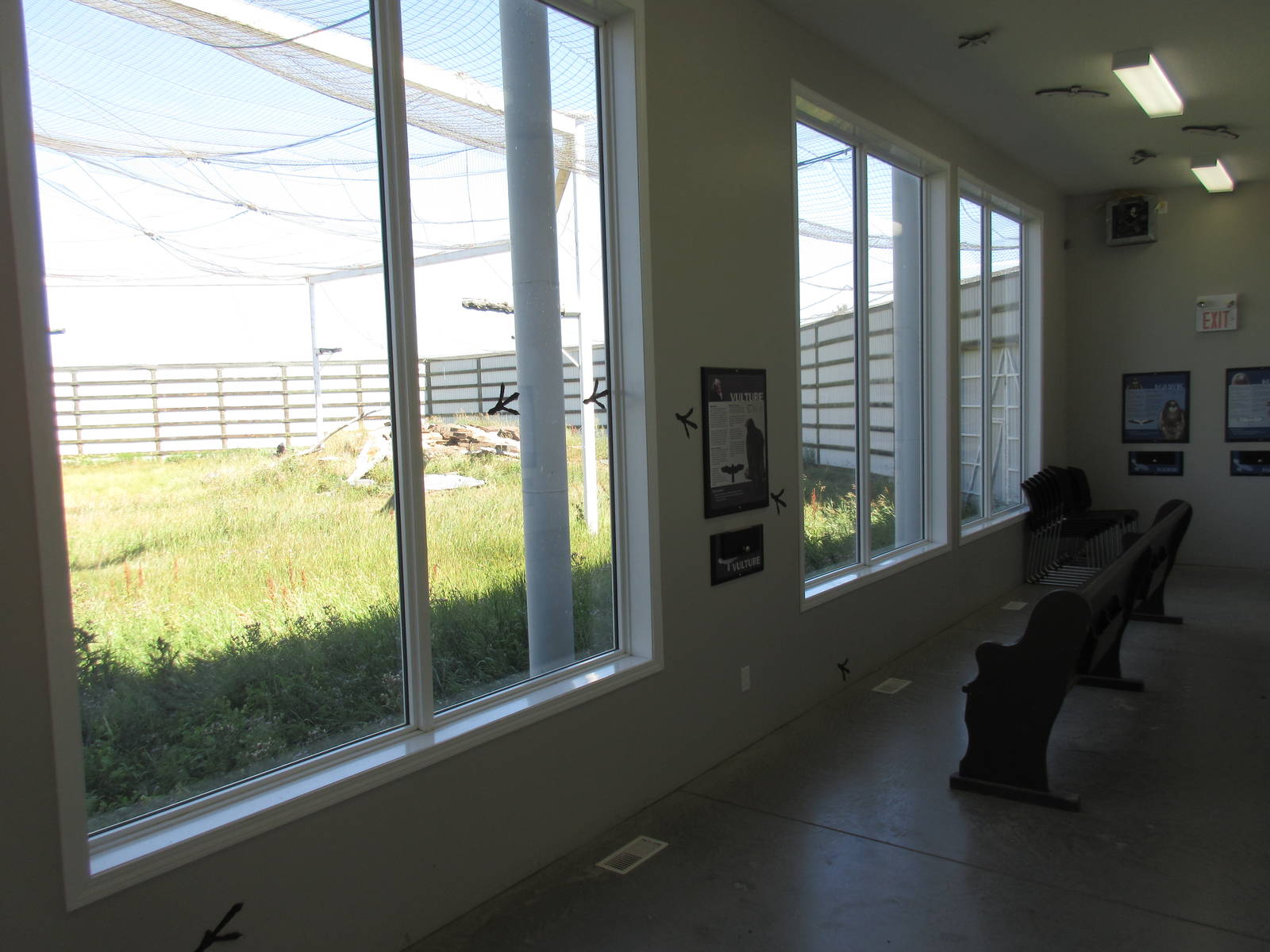 Alberta Birds of Prey Centre - 28,000 Square Foot (0.64 of an acre) Bald Ea