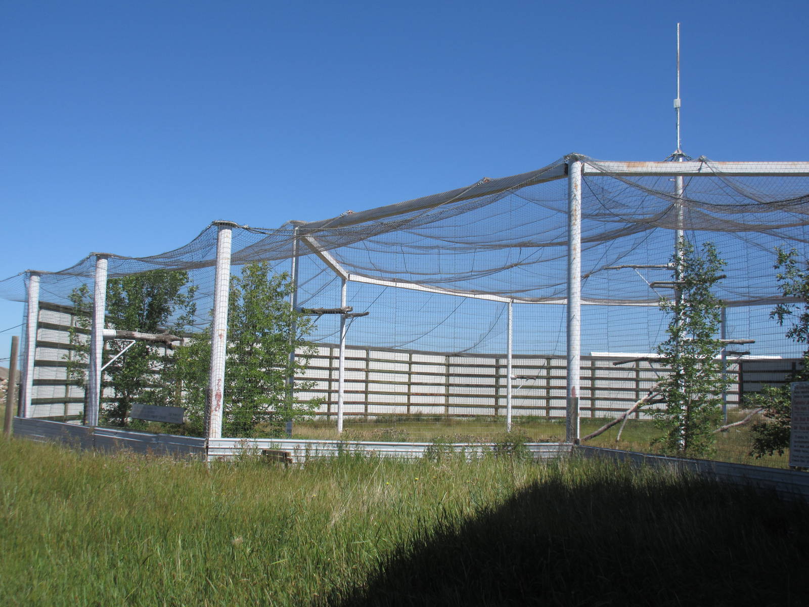 Alberta Birds of Prey Centre - 28,000 Square Foot (0.64 of an acre) Bald Ea
