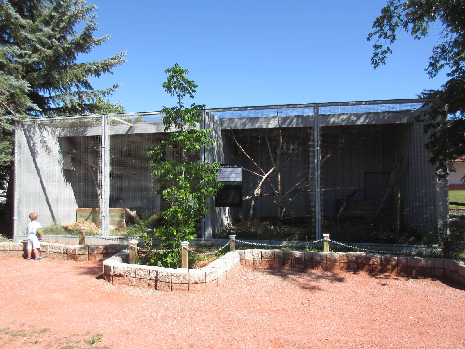 Alberta Birds of Prey Centre - Barred Owl + Peregrine Falcon Exhibits