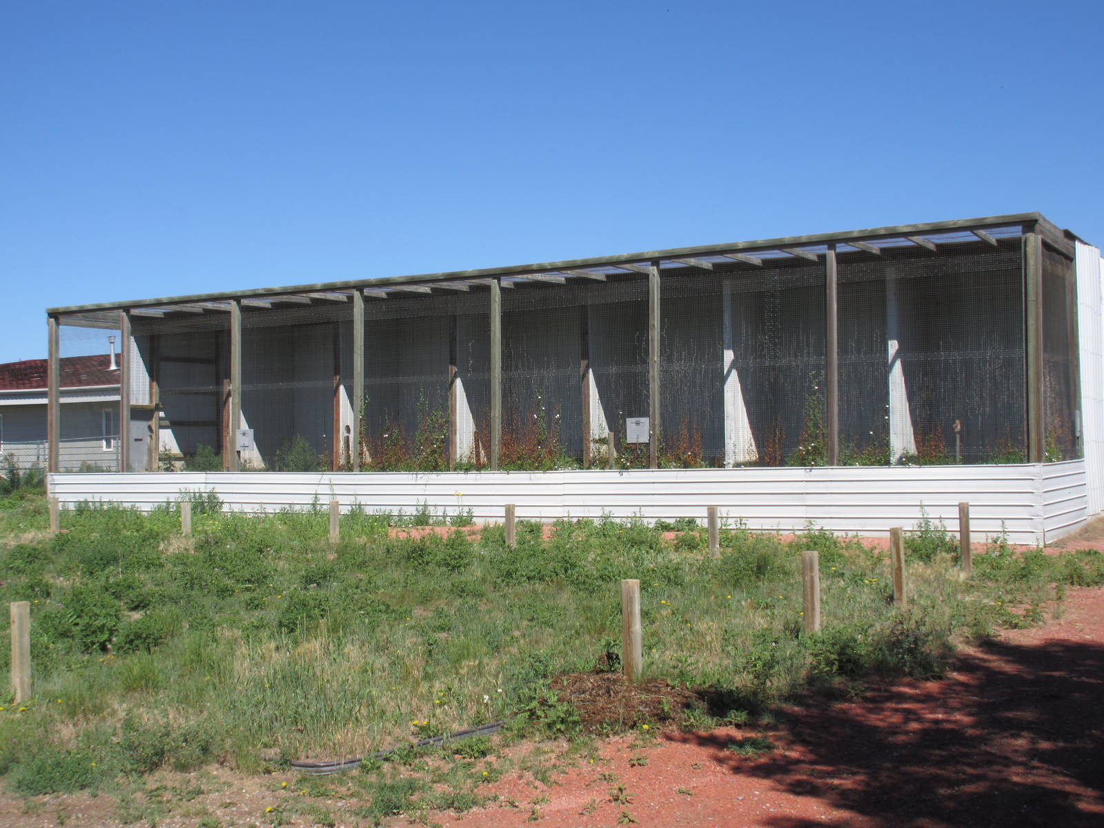 Alberta Birds of Prey Centre - Burrowing Owl Complex