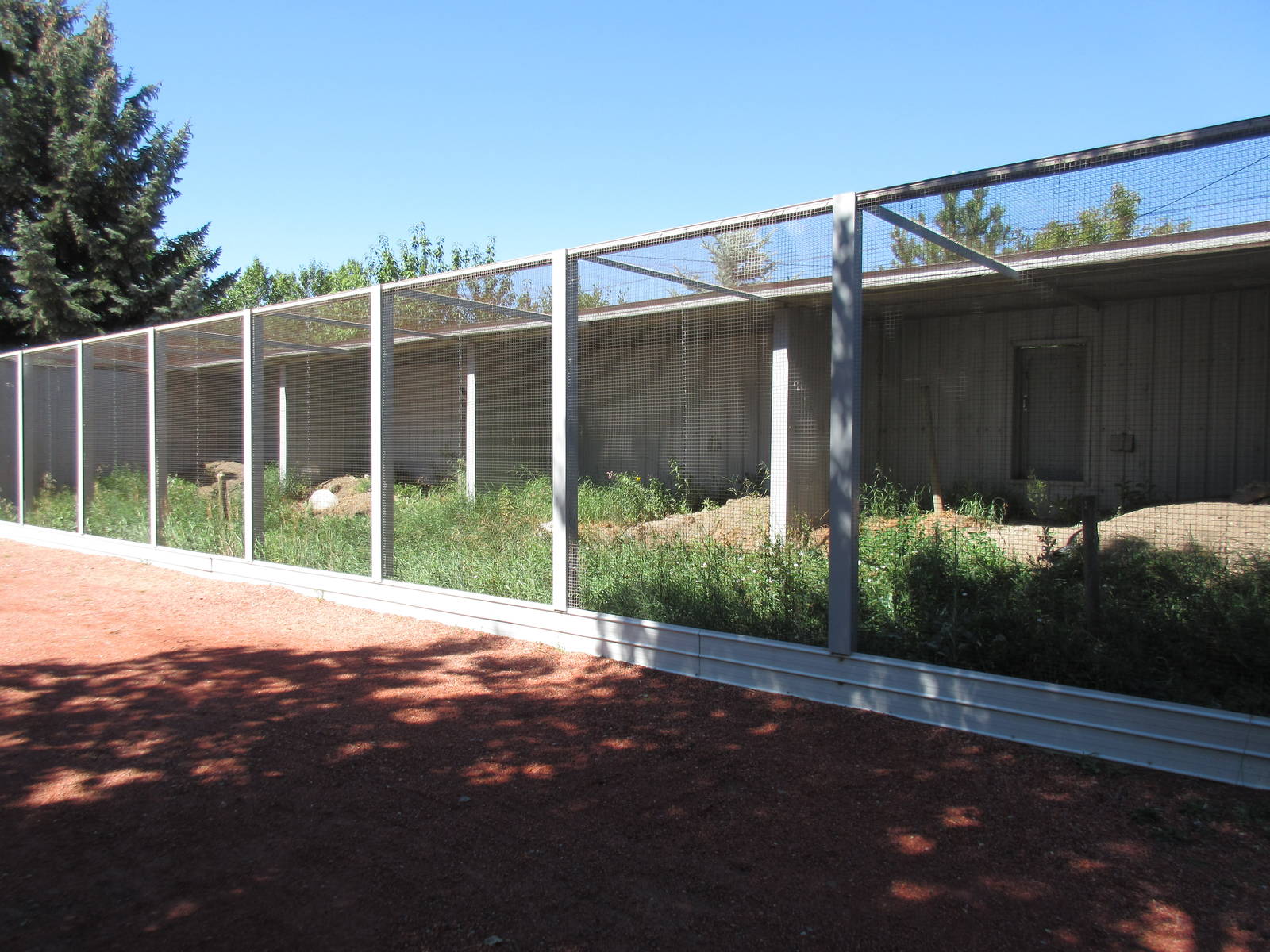 Alberta Birds of Prey Centre - Burrowing Owl Exhibit (superb!)