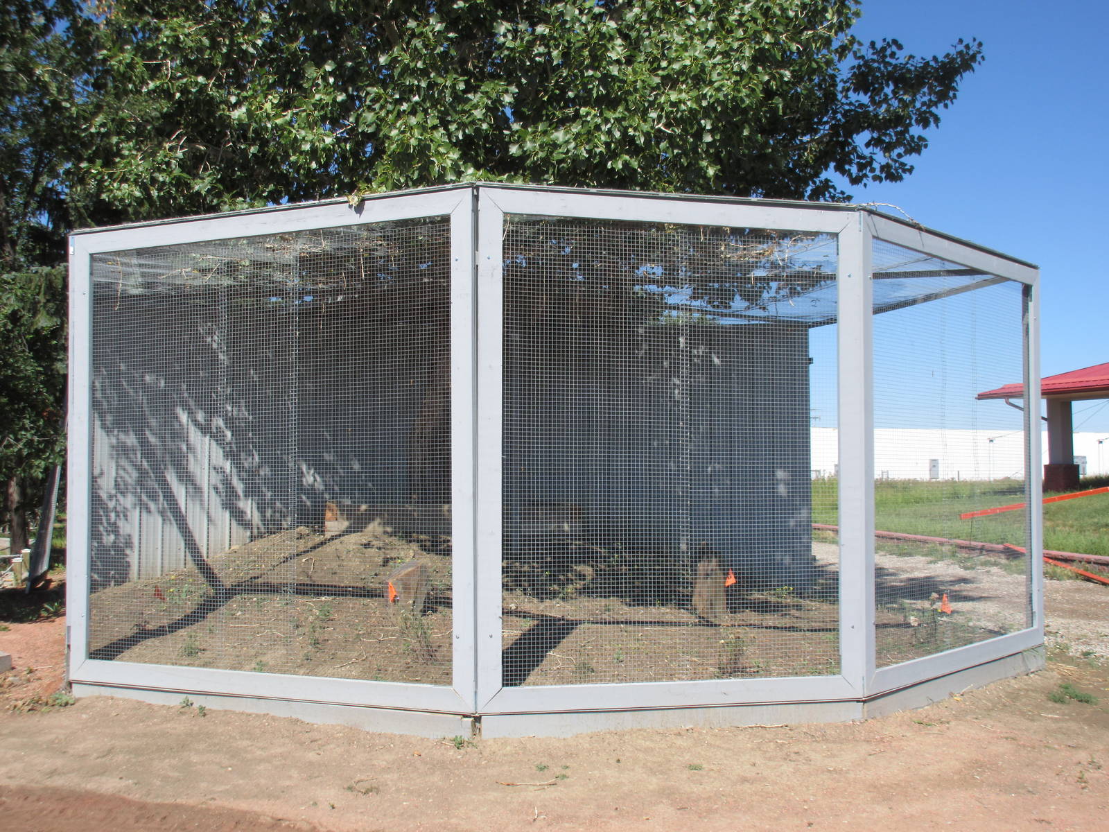 Alberta Birds of Prey Centre - Empty Exhibit