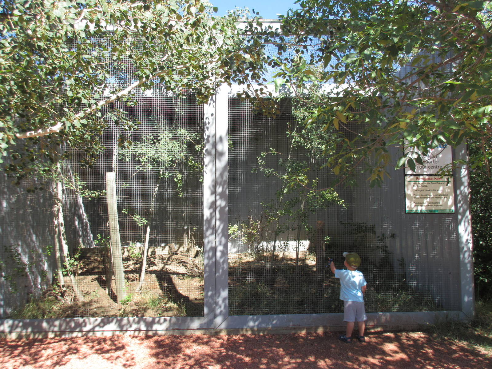 Alberta Birds of Prey Centre - Ferruginous Hawk Exhibit