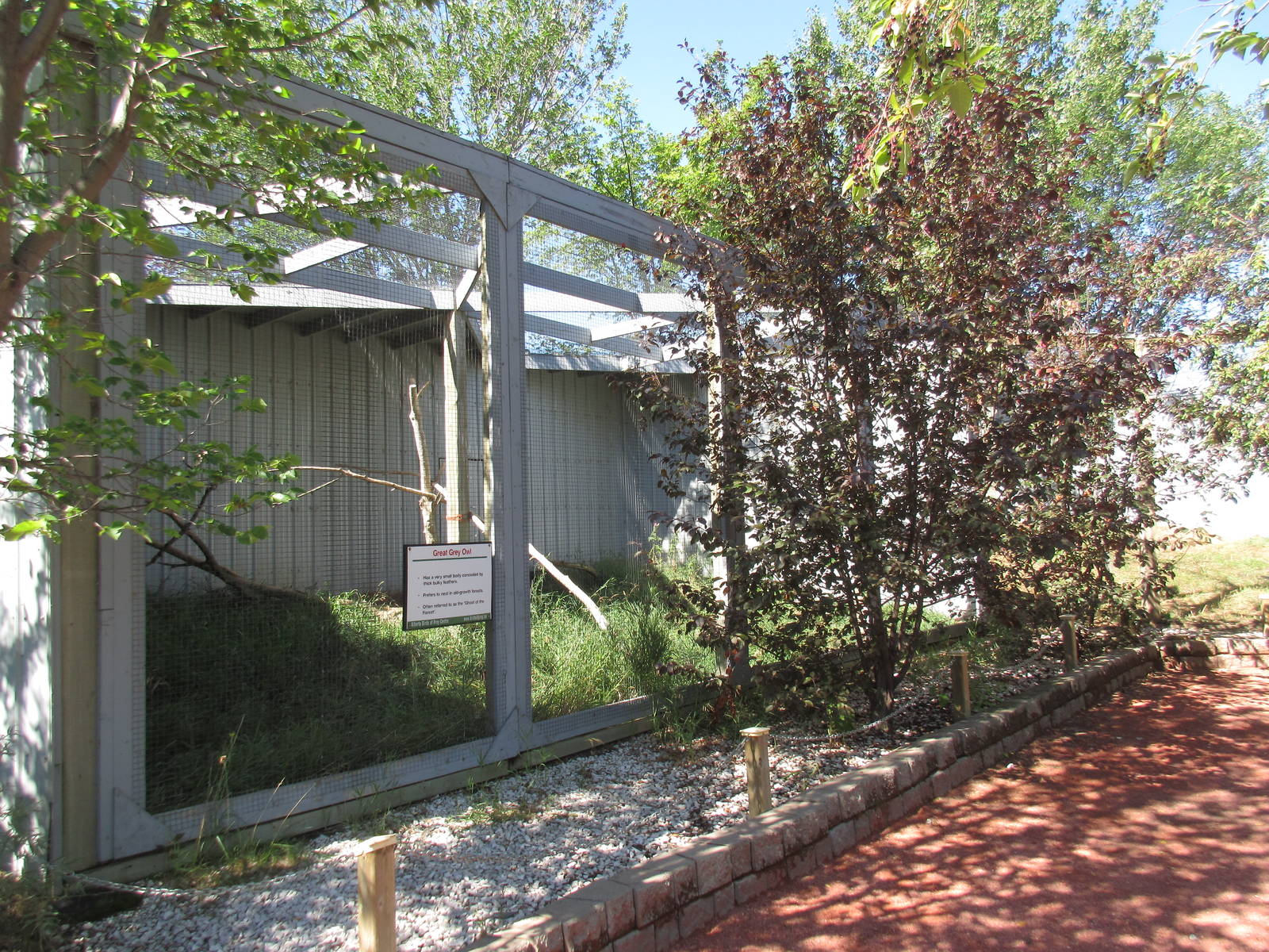 Alberta Birds of Prey Centre - Great Grey Owl Exhibit