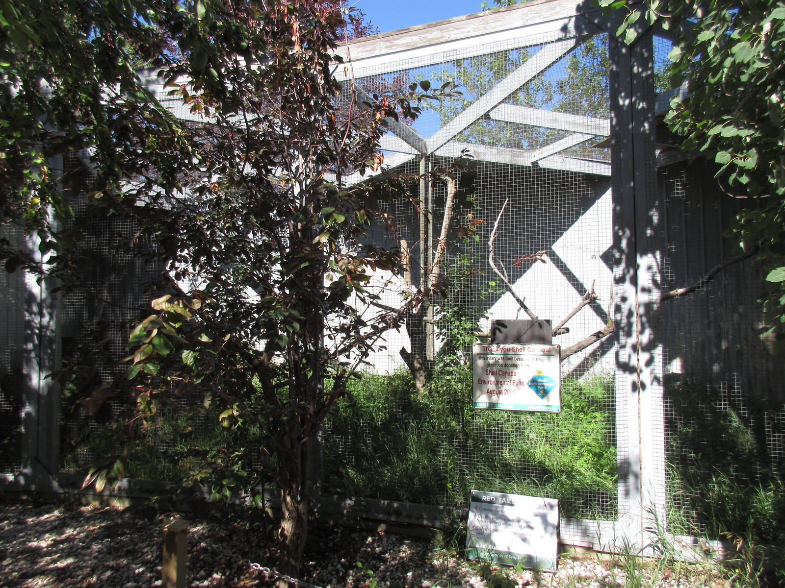 Alberta Birds of Prey Centre - Red-Tailed Hawk Exhibit