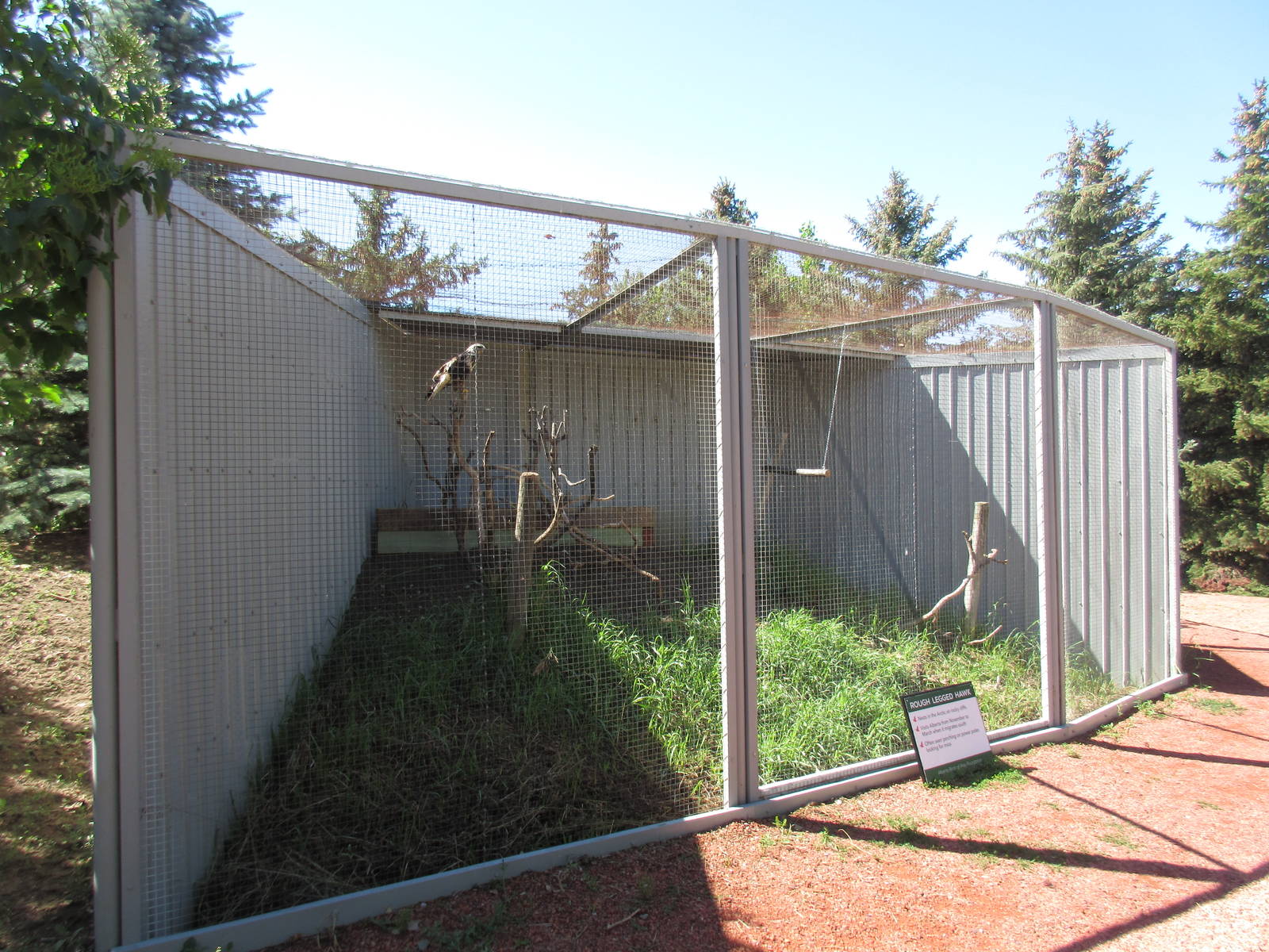 Alberta Birds of Prey Centre - Rough-Legged Hawk Exhibit