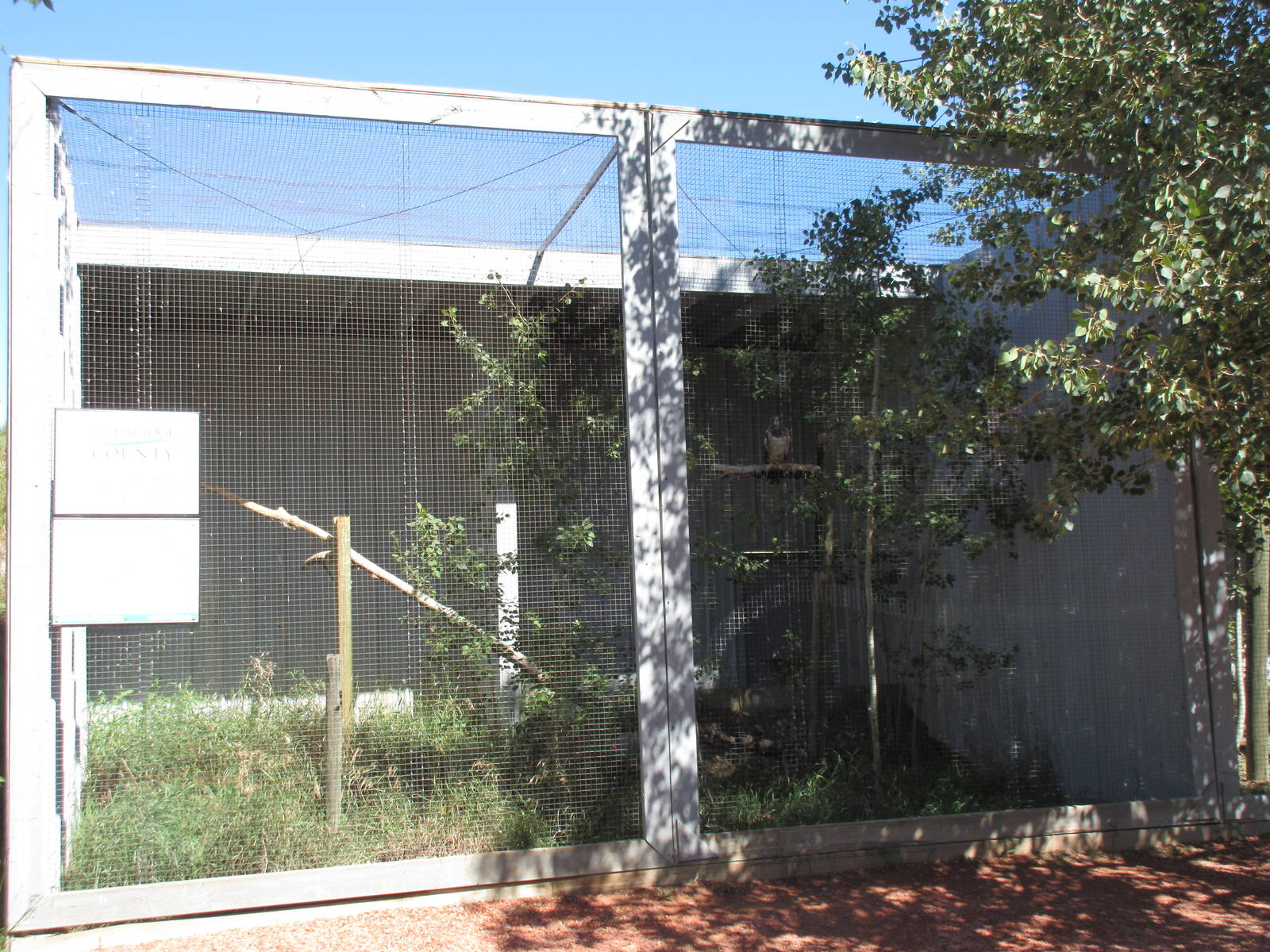 Alberta Birds of Prey Centre - Swainson's Hawk Exhibit