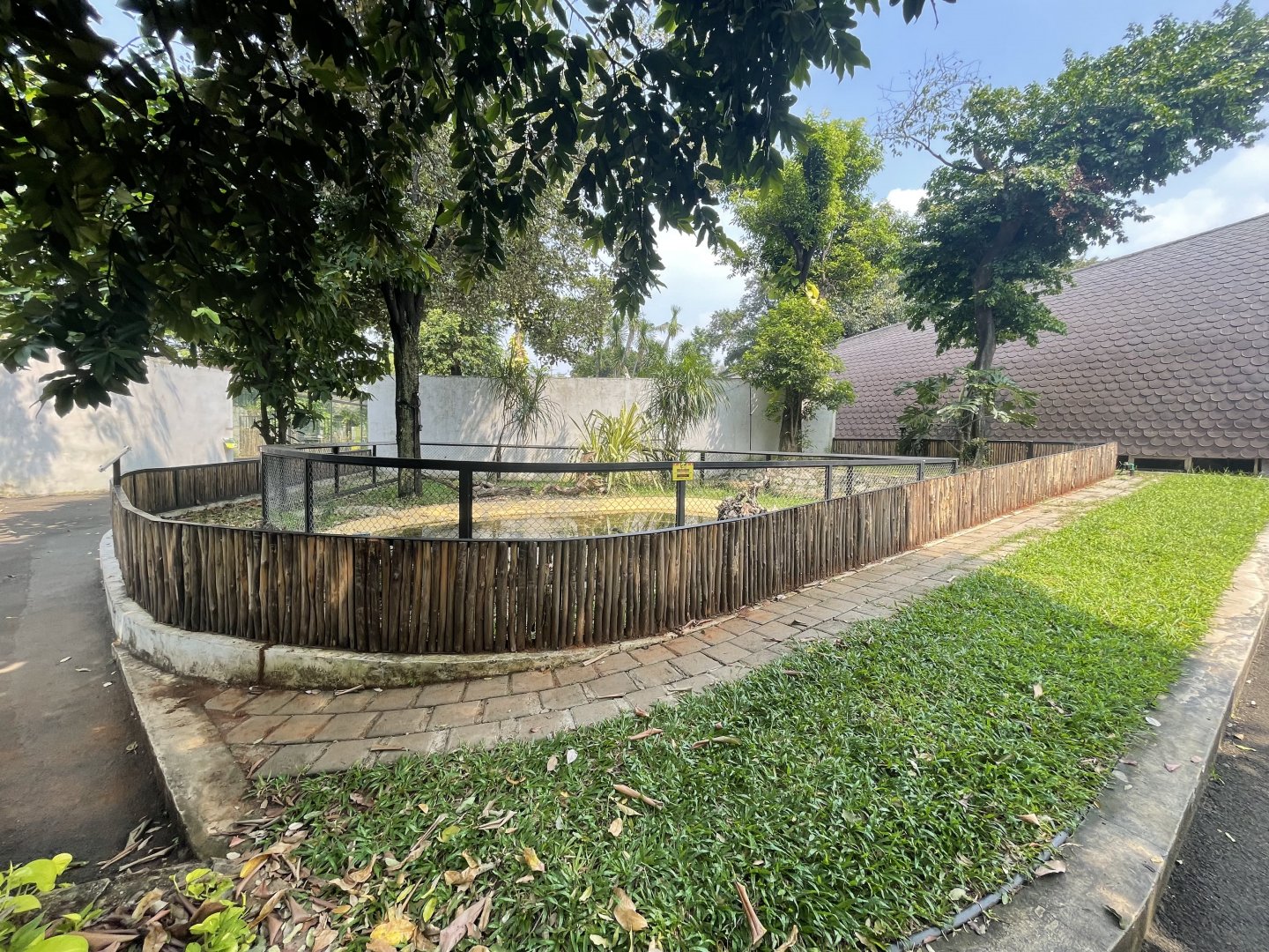 albino crocodile exhibit - museum komodo