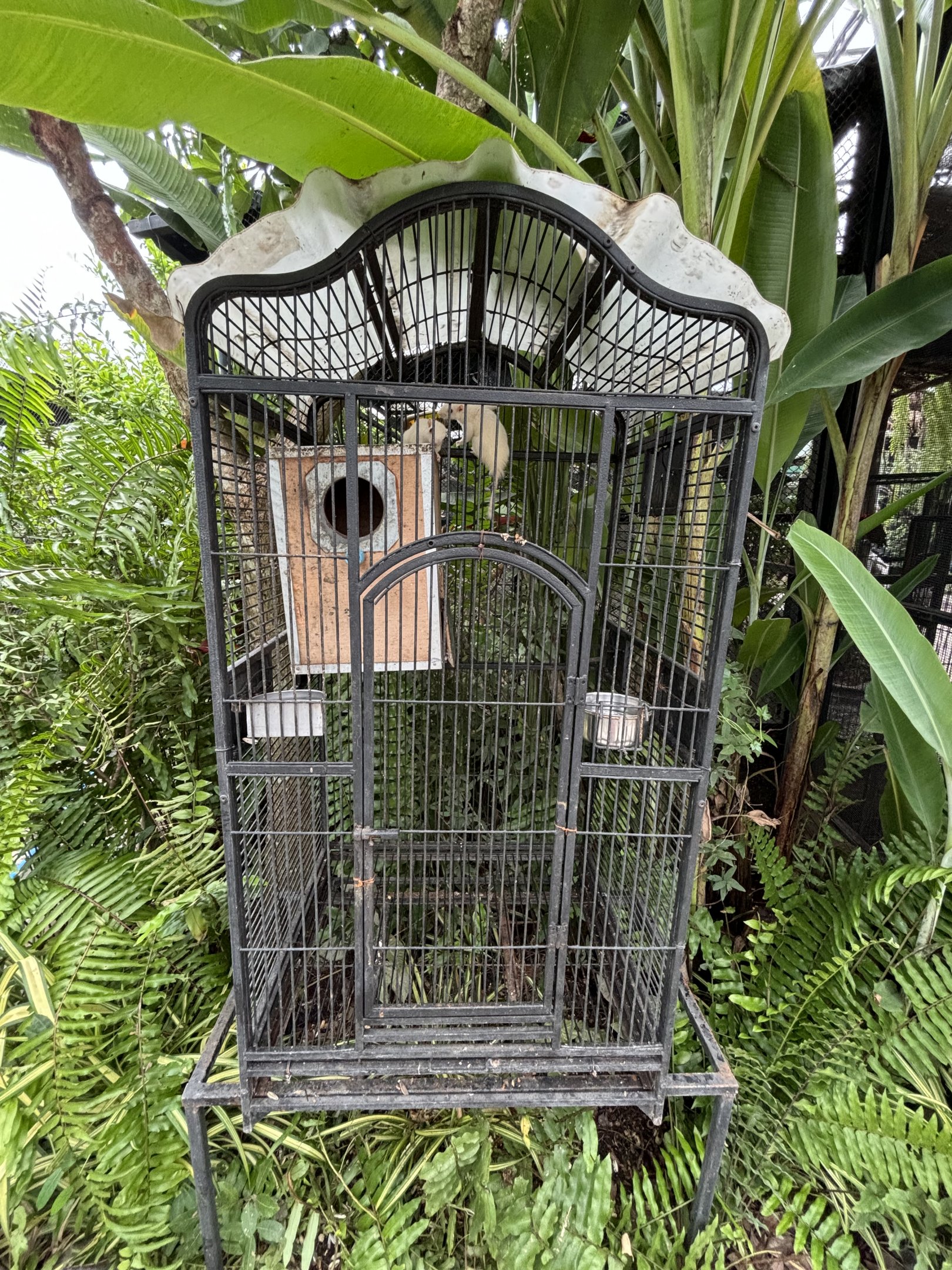 Albino Squirrel Cage - Lanna Mini Zoo