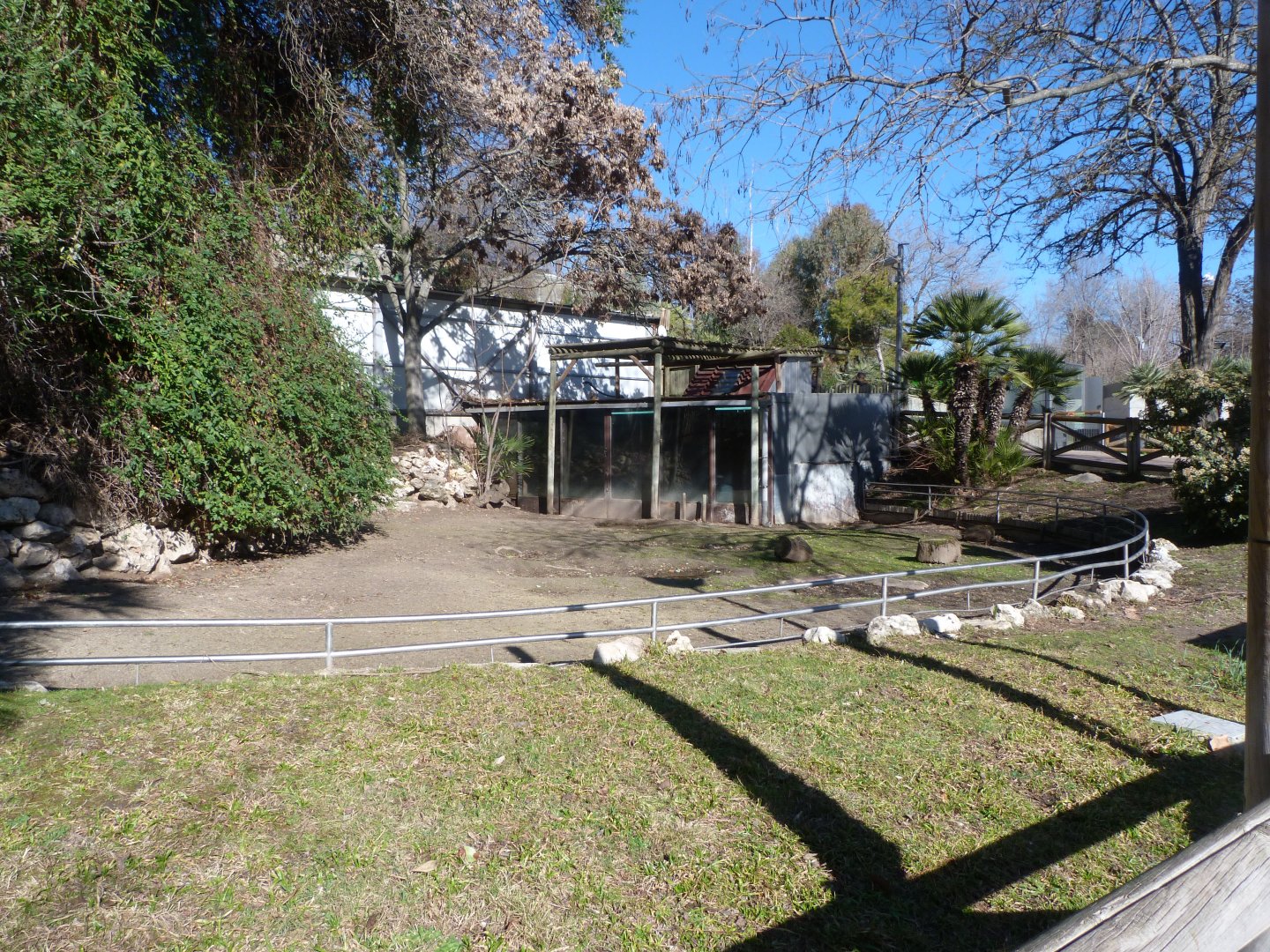 Aldabra giant tortoise, African spurred tortoise and Leopard tortoise exhibit -Zoo Aquarium de Madrid (2025)