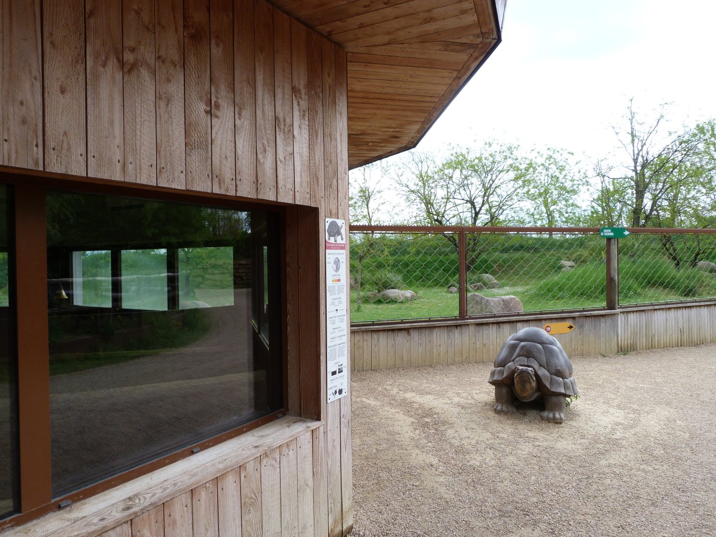 Aldabra giant tortoise and Radiated tortoise exhibit -Bioparc de Doué la Fontaine (2025)
