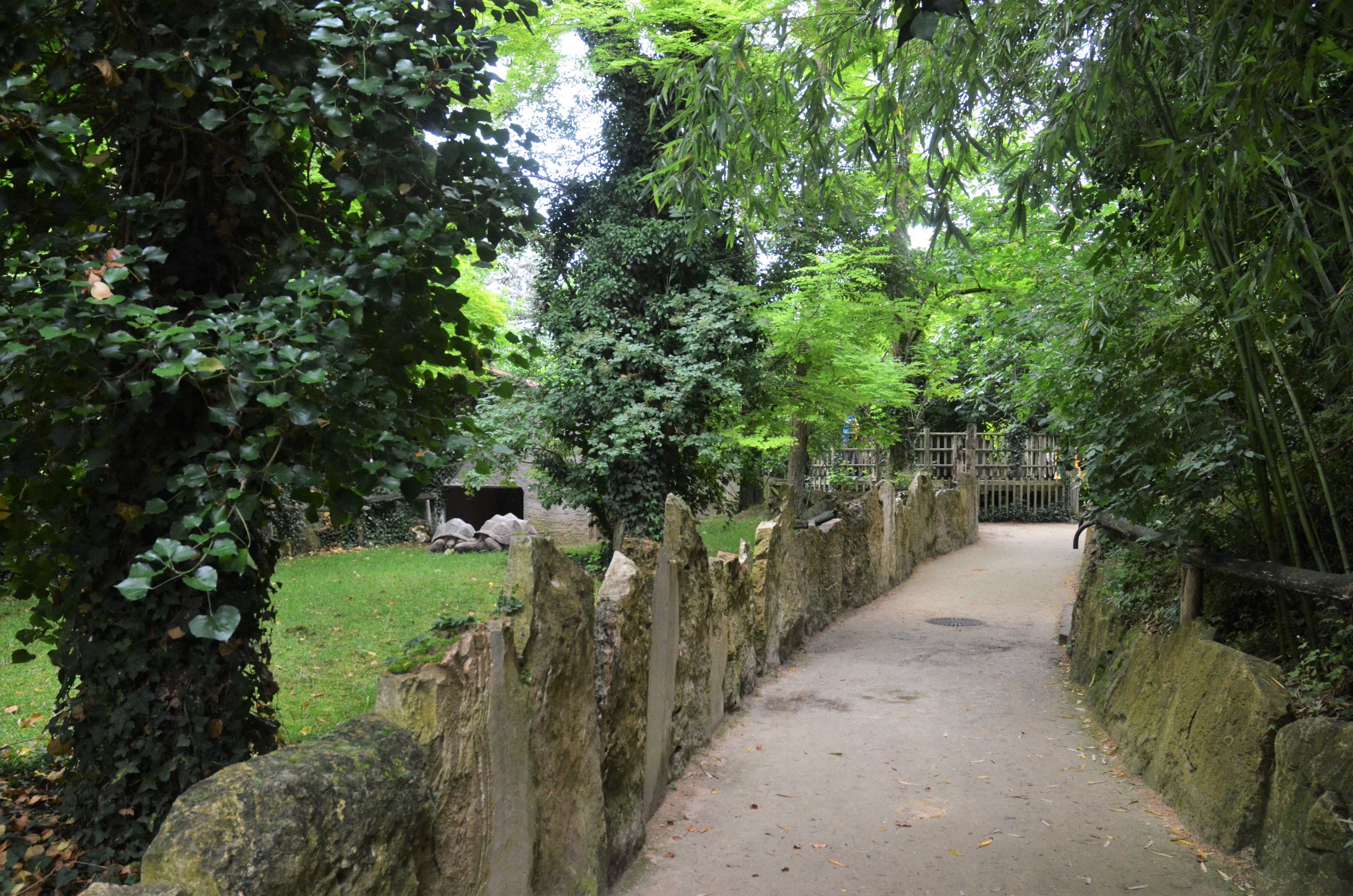 Aldabra GIant Tortoise Enclosure at Doué-la-Fontaine, 15/06/18