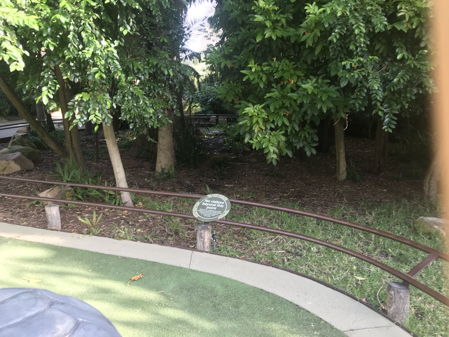 Aldabra Giant Tortoise enclosure