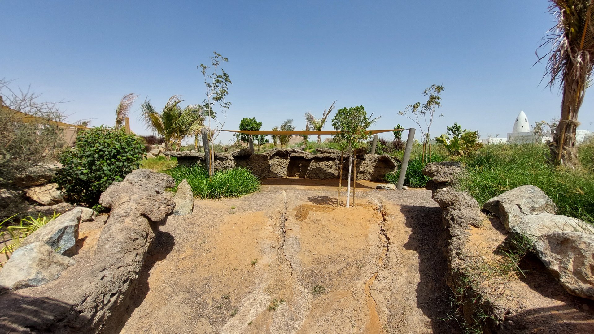 Aldabra Giant Tortoise enclosure