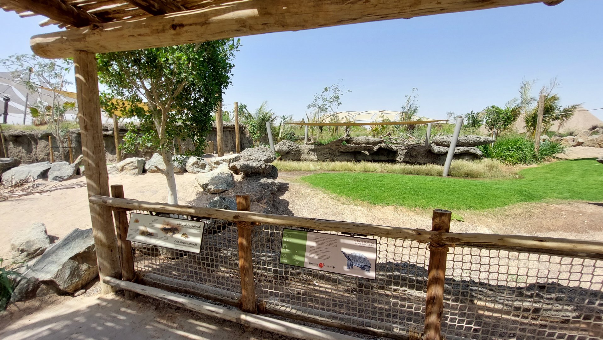 Aldabra Giant Tortoise enclosure