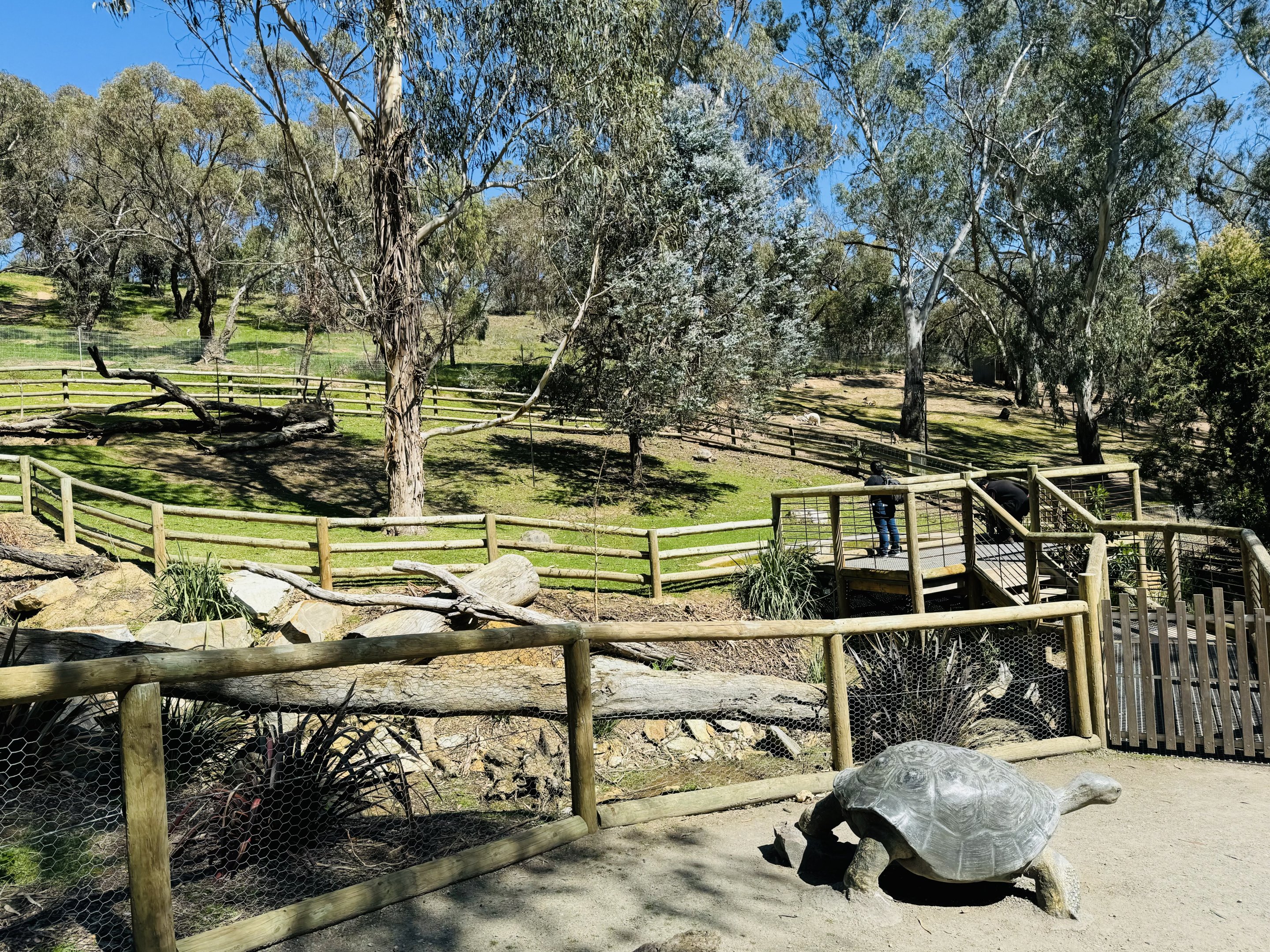 Aldabra Giant tortoise enclosure