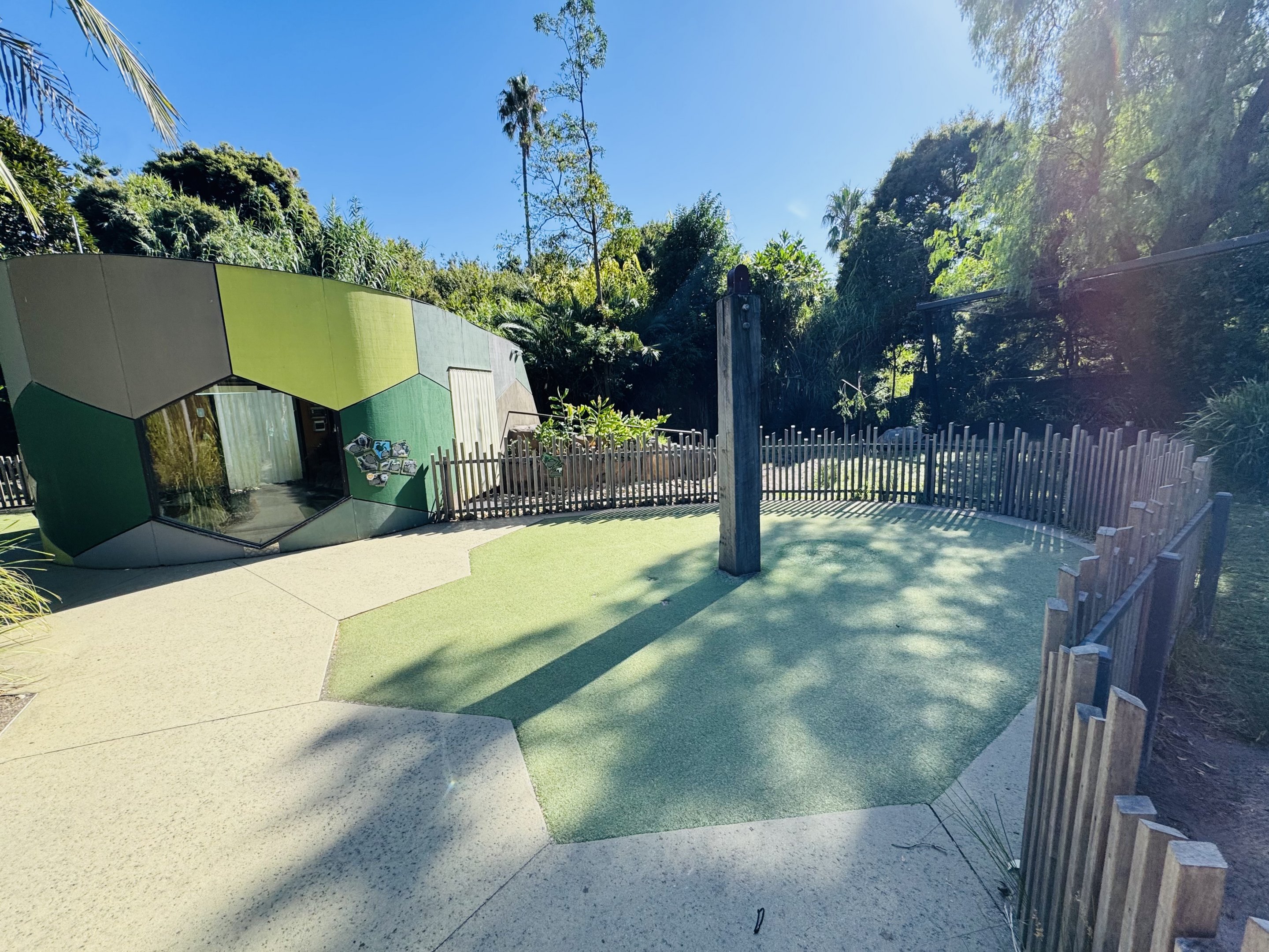 Aldabra Giant Tortoise enclosure