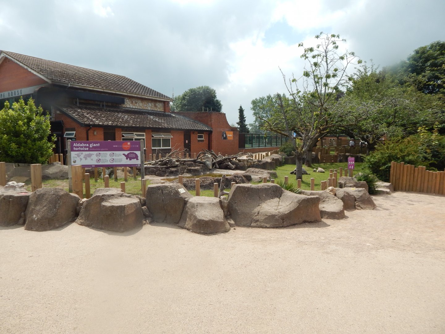 Aldabra giant tortoise exhibit 020721