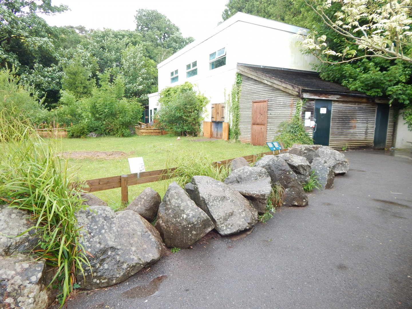 Aldabra giant tortoise exhibit 130624