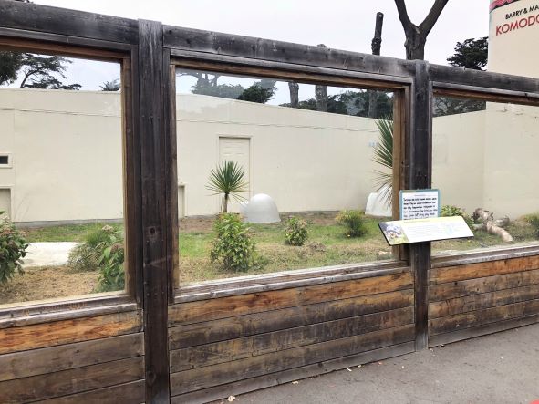 Aldabra giant tortoise exhibit (former Komodo dragon outdoor yard)