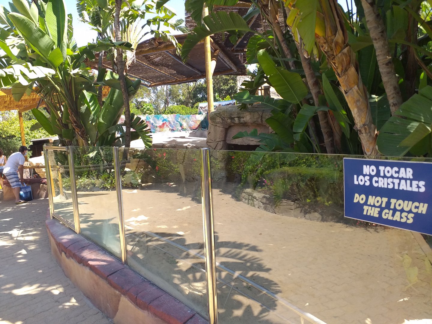 Aldabra giant tortoise exhibit -MundoMar Benidorm (2021)