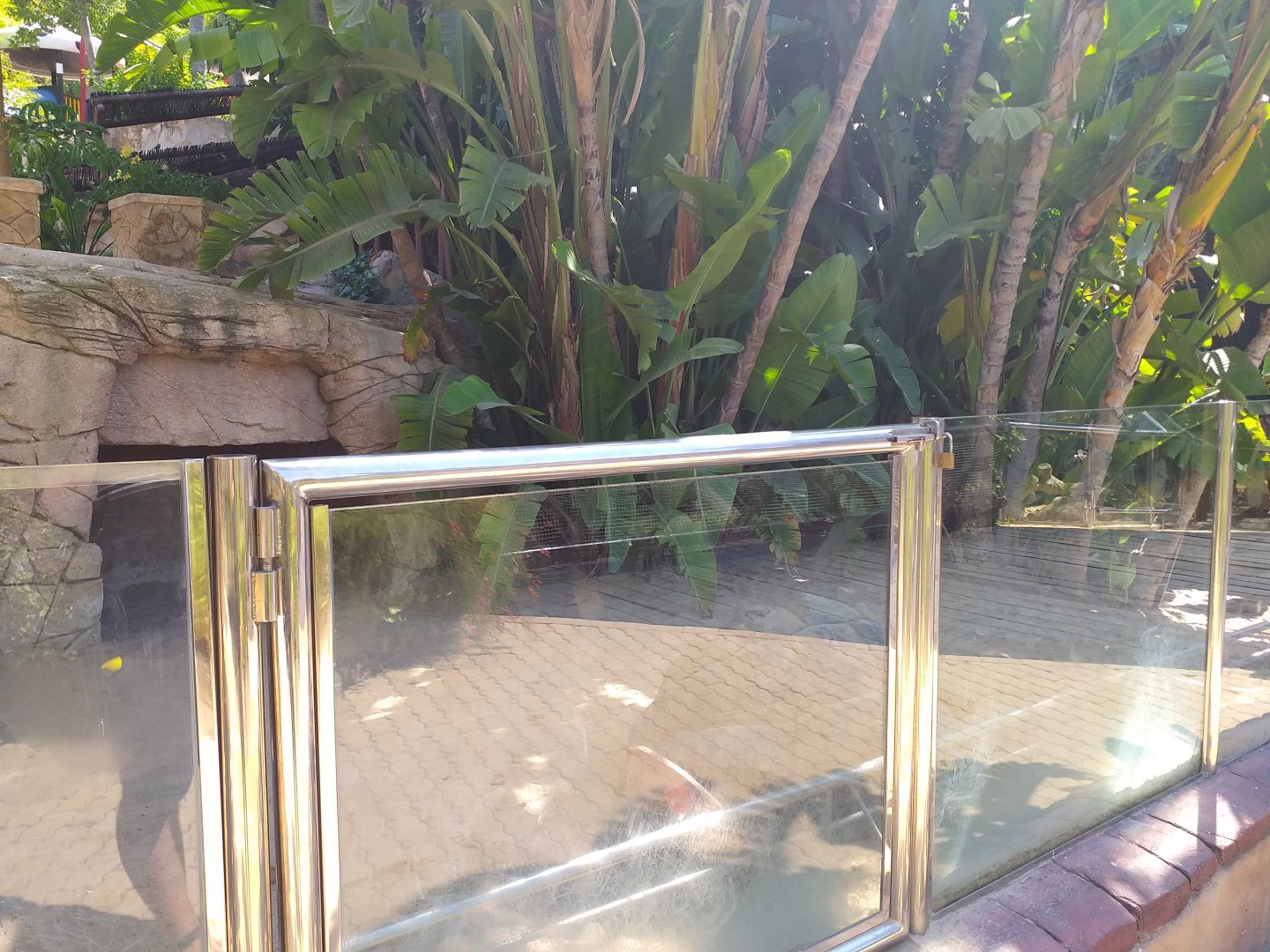 Aldabra giant tortoise exhibit -MundoMar Benidorm (2021)